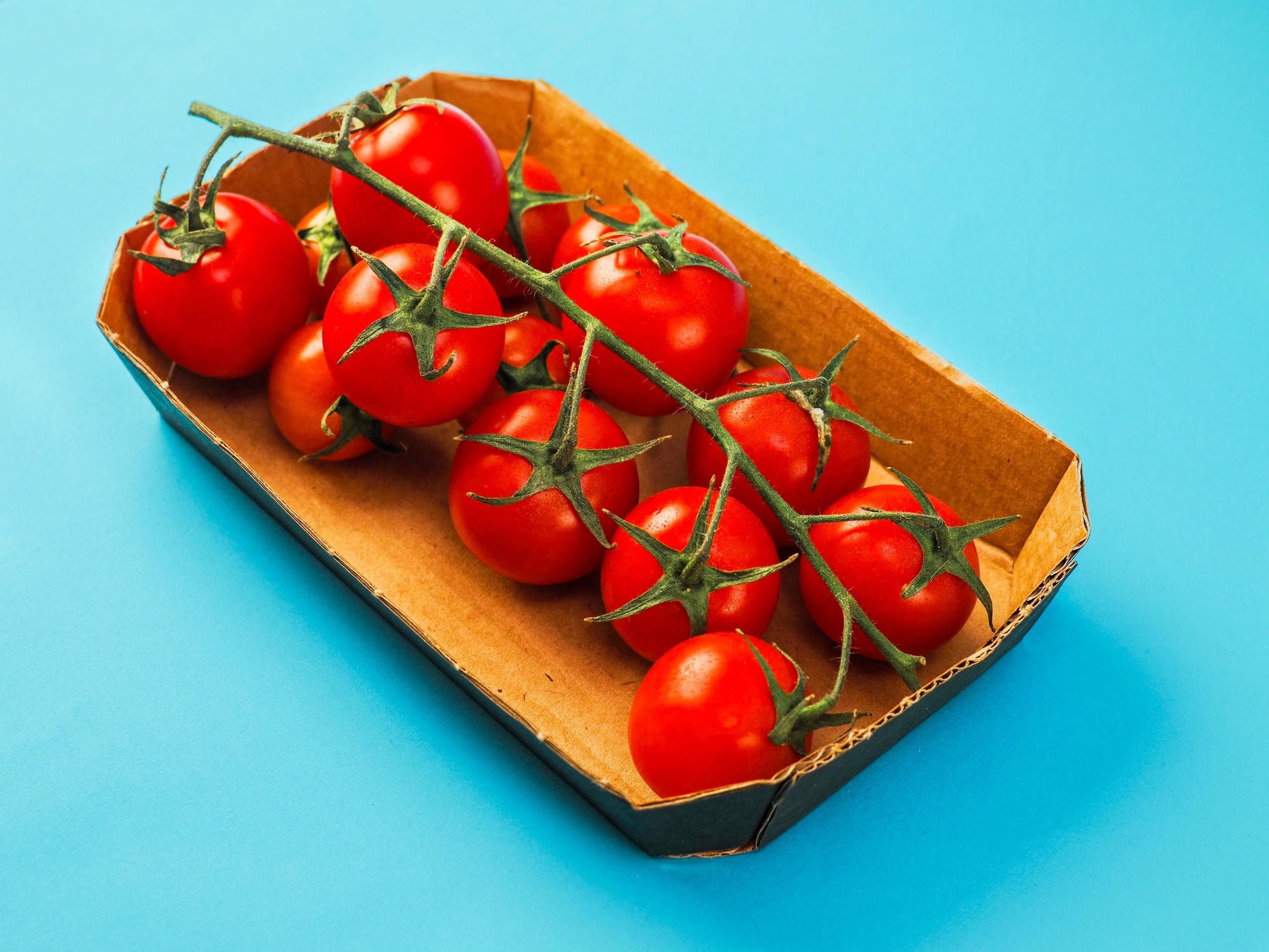 Keystone Capital Announces Partnership with Penta Fine Ingredients, Welcomes New CEO Mike Size1